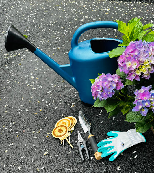 Tabletop Planters